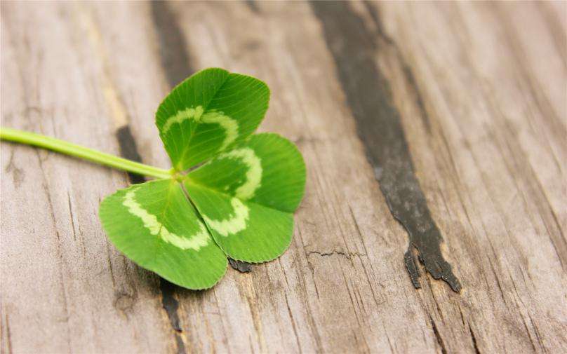 世界，您好！ - 吾爱博客